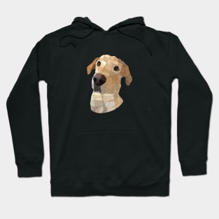 Yellow Lab Hoodie